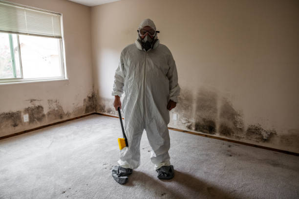 Mold Removal Process in Huntington Bay, NY